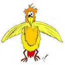 Avatar de l’utilisateur